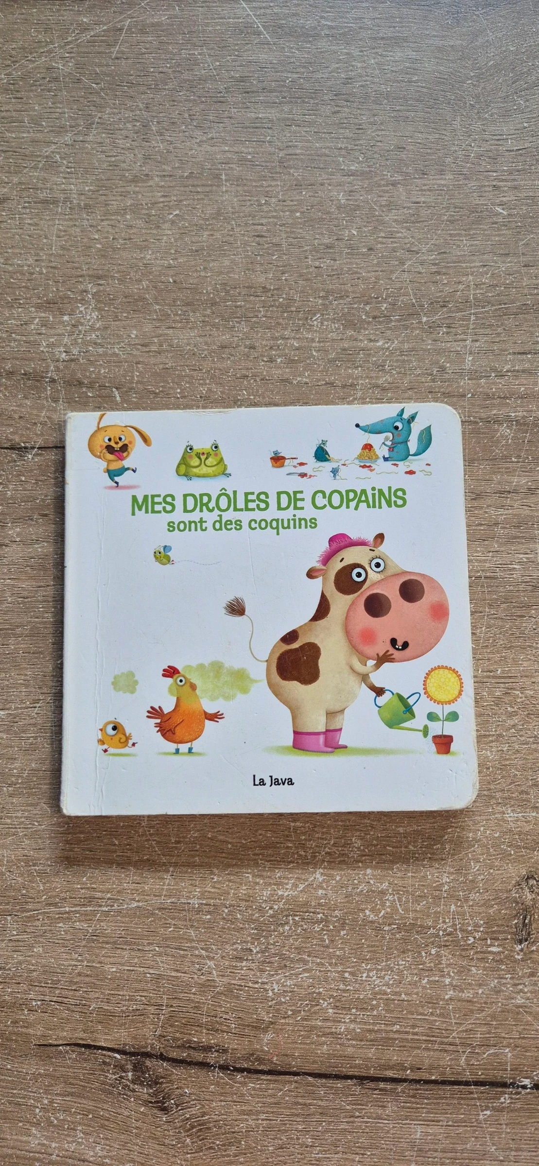 Mes drôles de copains sont des coquins 